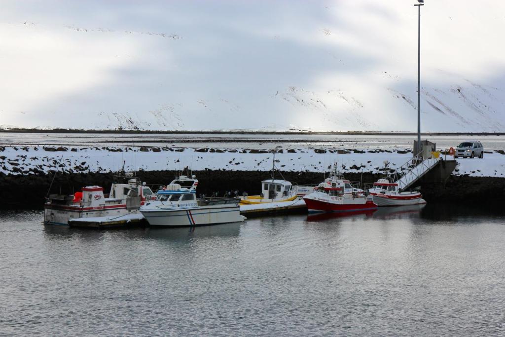 Comfy Guesthouse Westfjords Sudureyri Exterior foto